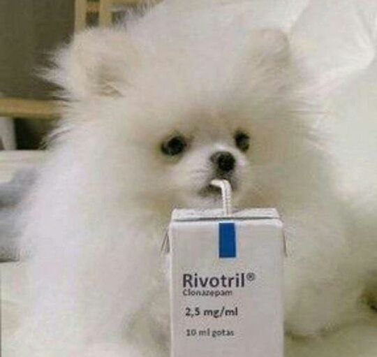 RIVO mascot